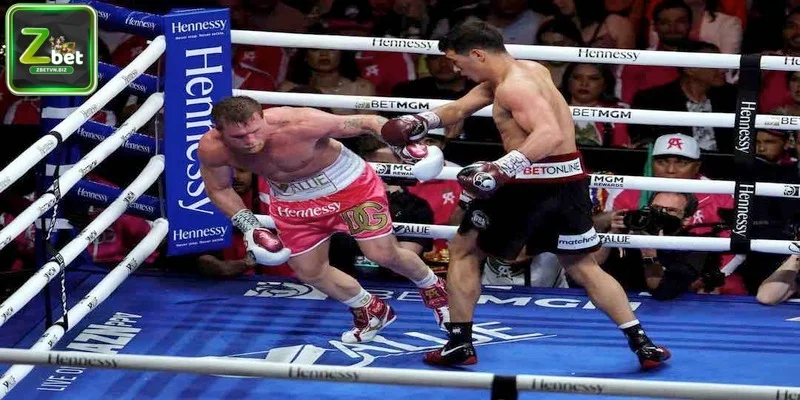 Cách cá cược Boxing ZBET hiệu quả nhất cho người chơi mới