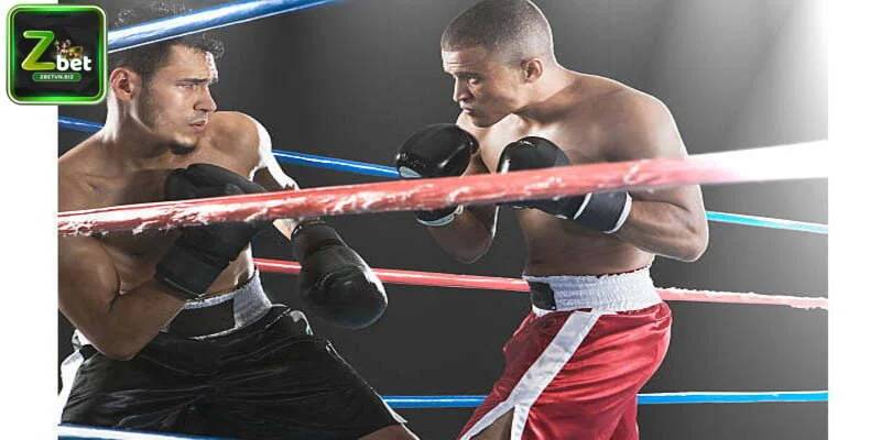 Những quy định khi cá cược Boxing bạn cần biết