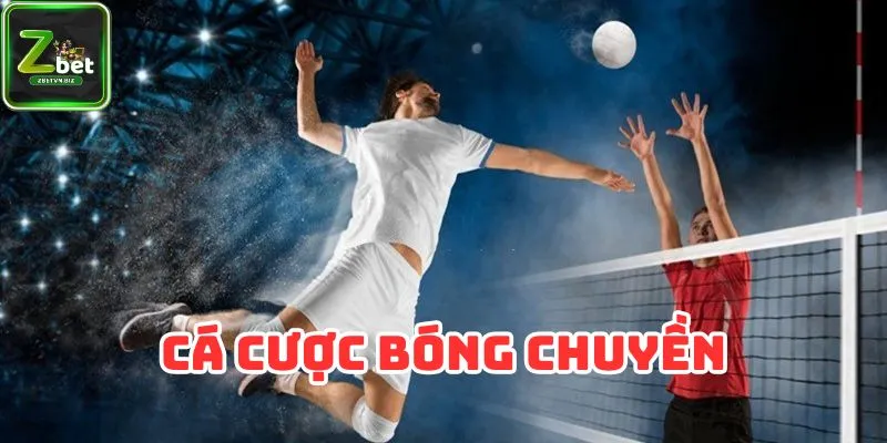 Cá cược bóng chuyền